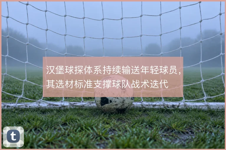 汉堡球探体系持续输送年轻球员，其选材标准支撑球队战术迭代