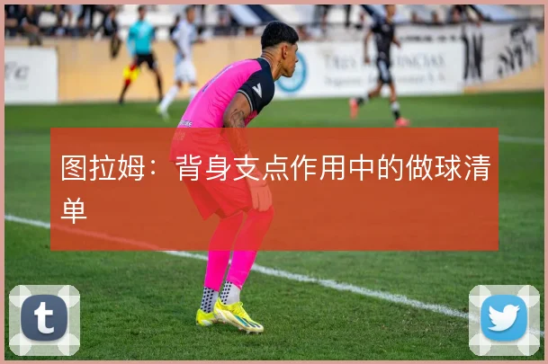 图拉姆：背身支点作用中的做球清单
